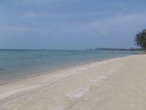 thai